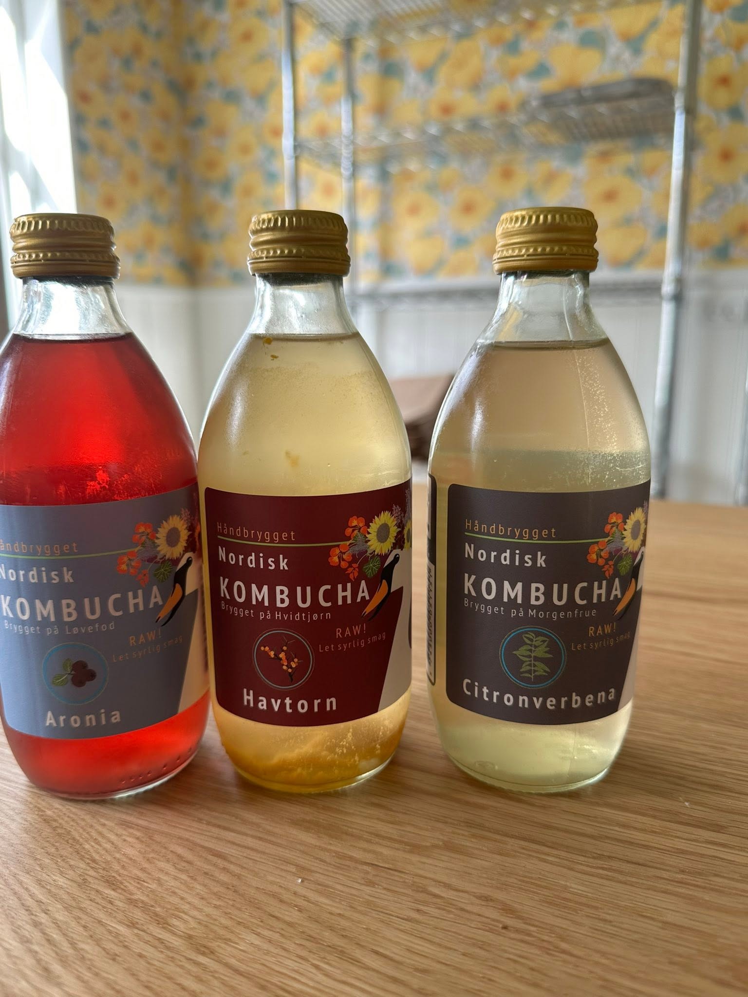 nordisk kombucha nordisk kombucha